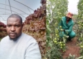 Backyard bounty: Soweto graduate grows smarter with hydroponics