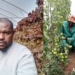 Backyard bounty: Soweto graduate grows smarter with hydroponics