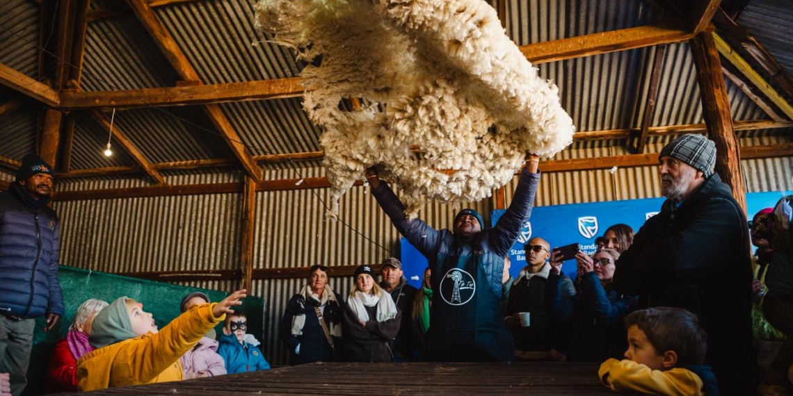 The Karoo Winter Wool Festival celebrates the region's rich wool heritage with engaging exhibits, local producers, family entertainment and agricultural conversations. Photo: Supplied/Food For Mzansi