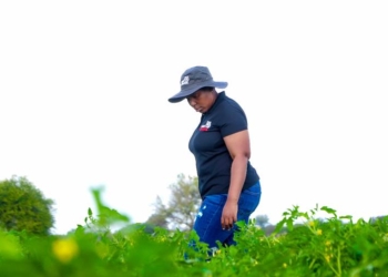 Petunia Molea walks her land at Godzwana General Farming which employs two permanent employees and 15 seasonal workers. Photo: Supplied/Tiger Brands