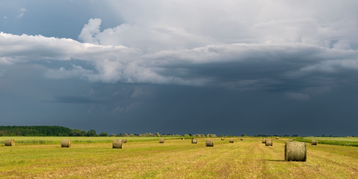 South Africa’s agricultural sector is facing a profound structural shift as intense floods and prolonged droughts replace isolated weather events. Photo: Péter Kövesi/Pexels