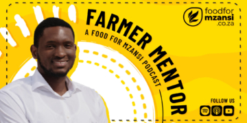 Limpopo agripreneur Matjee Mokgoadi is empowering emerging farmers through the Phuti Ya Mashilape Group by combining practical farming with agribusiness support and mentorship. Photo: Gareth Davies/Food For Mzansi