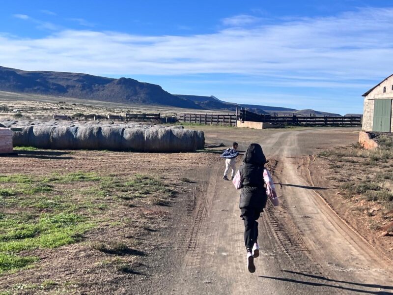 The vast Karoo landscape offers a reminder that agriculture is built not on spectacle, but on patience, stewardship and trust. Photo: Ivor Price/Food For Mzansi