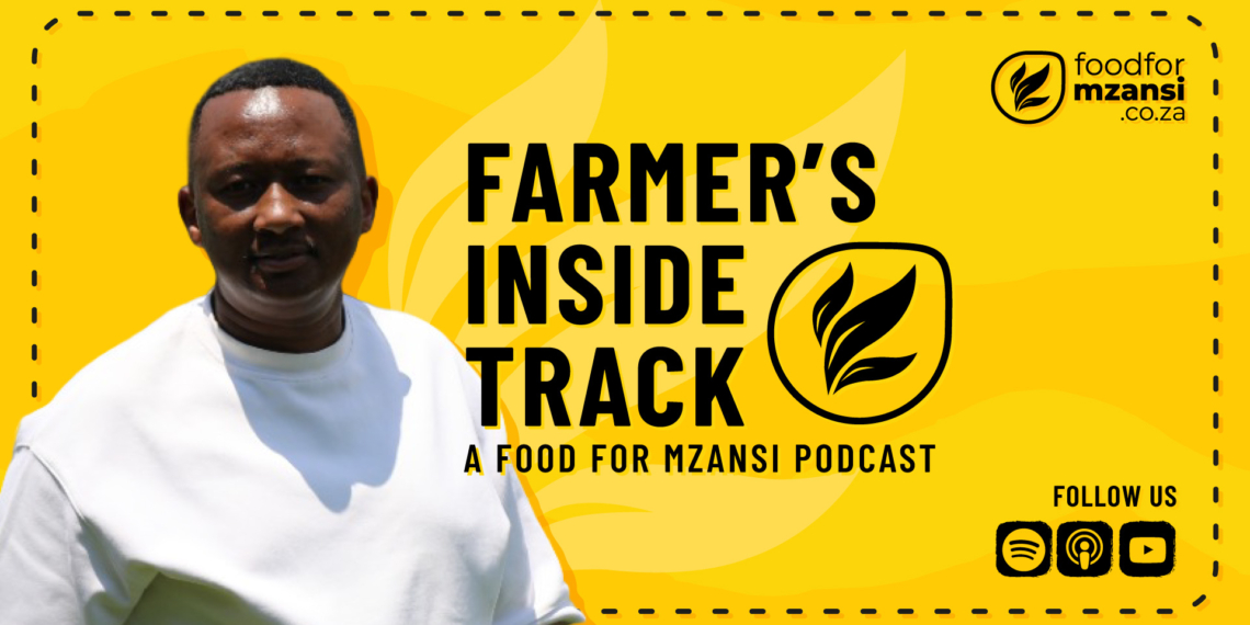 From KwaZulu-Natal roots to a diversified Gauteng farming enterprise, Simphiwe Hlubi shares how planning, mentorship, resourcefulness and multiple income streams are helping him build a lasting agricultural legacy. Photo: Food For Mzansi/ Gareth Davies