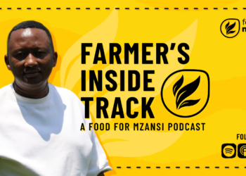 Simphiwe Hlubi: Why multi-stream income is the future of farming