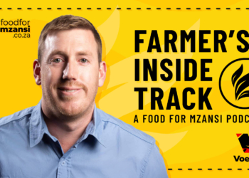 How Voermol drives Mbatha’s weaning and finishing success