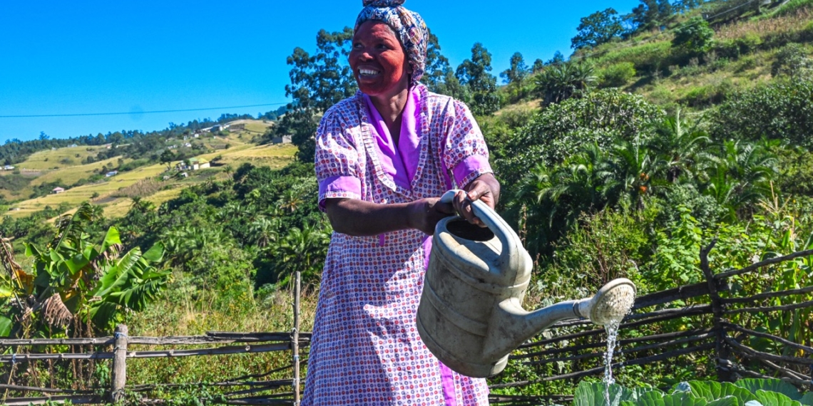 What started as a small backyard garden has become a source of food security and financial independence for Zandile Shinga. She waters her cabbages at her plot in ePlazini, where Thanda is helping families build resilience through regenerative gardening. Photo: Supplied/Food For Mzansi