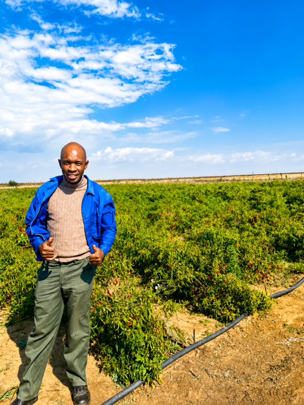 Itumeleng Khoza stands in front of his small farm in Deelpan. “The MFAN is Deelpan’s largest employer,” he says, “and I am the second largest.” Photo: Supplied/Seriti Institute