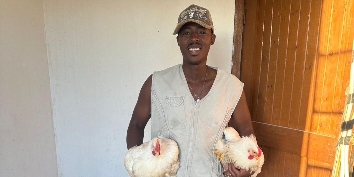 Driven by a vision to build a sustainable agribusiness, Owen Sithole Agricultural College graduate Aphola Mbotshwa is started a poultry operation, Feathered Fields Farming. Supplied/Food For Mzansi