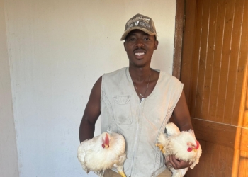 Feathered Fields: Young farmer defies odds with poultry production