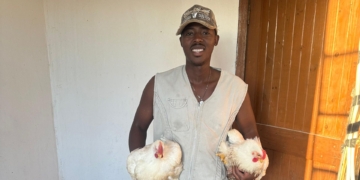 Feathered Fields: Young farmer defies odds with poultry production