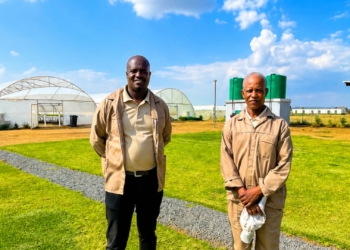 Tucked away in the North West province, the Deelpan Multi-Functional Agri-Node is quietly proving what is possible when rural communities are given the chance to build. Photo: Supplied/Seriti Institute