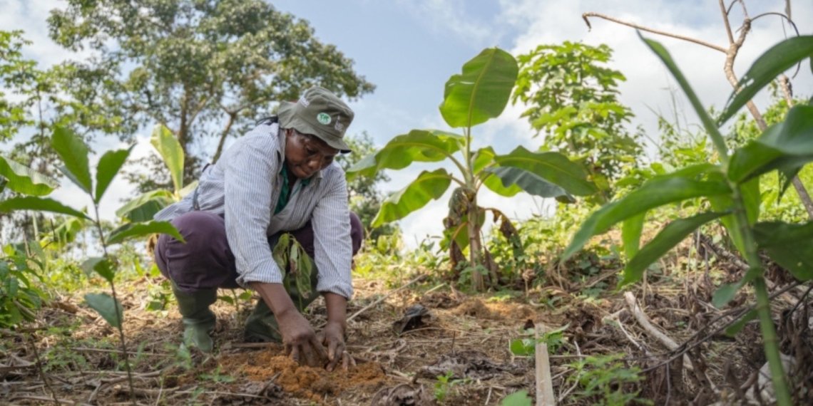 Cecile Ndjebet, one of the Inspiration and Action Champions of the Earth, Cameroon. Photo: Duncan Moore/UNEP