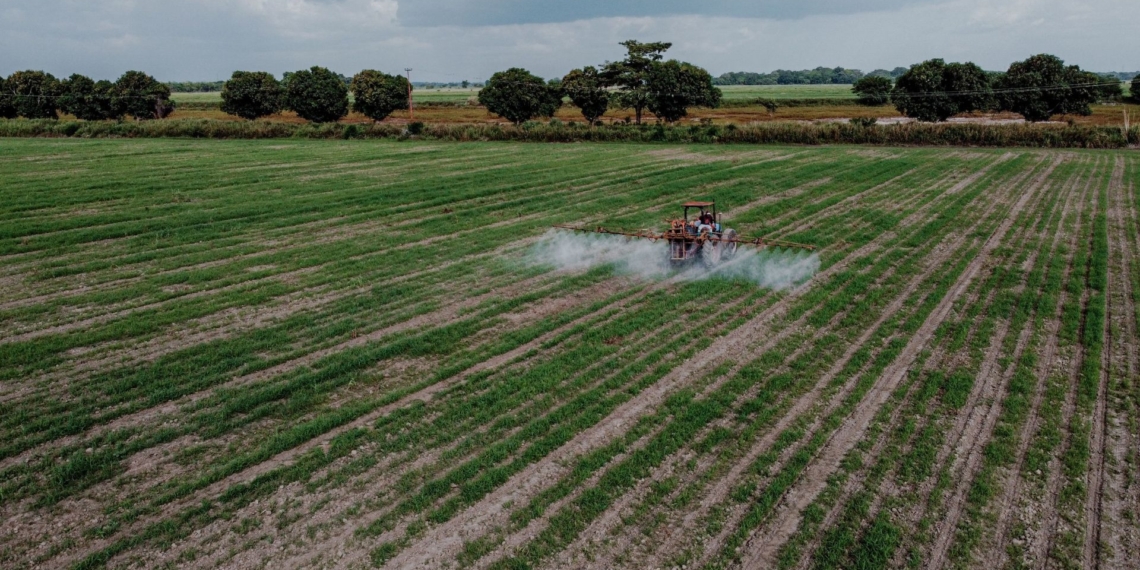 Corteva Agriscience believes that informed decision-making, regular monitoring and integrated management practices play a crucial role in safeguarding South African crop production. Photo: Pexels