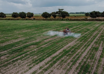 Don’t wait for failure: Spot herbicide resistance early