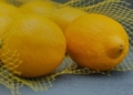 Early harvest and larger crops mark unusual 2026 lemon season