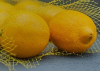 Early harvest and larger crops mark unusual 2026 lemon season