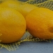 Early harvest and larger crops mark unusual 2026 lemon season