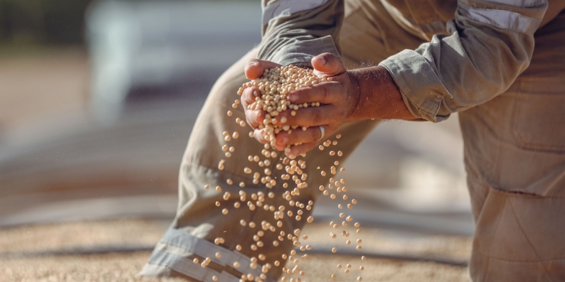Grain SA CEO Dr Tobias Doyer told the South African Human Rights Commission’s national investigative hearing into South Africa’s food systems that while farmers are the foundation of the country’s food security, affordable food depends on a sustainable and profitable agricultural sector supported by efficient infrastructure, fair markets and collaboration across the entire food value chain. Photo: Pexels