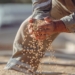 Grain SA defends farmers against blame for rising food prices