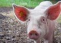 This week’s agri events: 20 – 24 July