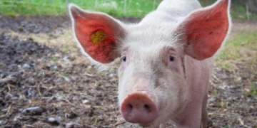 This week’s agri events: 20 – 24 July