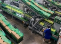 Tech and solar upgrades drive growth at Ceres Fruit Growers