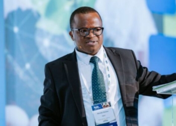 Ample grain stocks shield SA consumers from impending El Niño