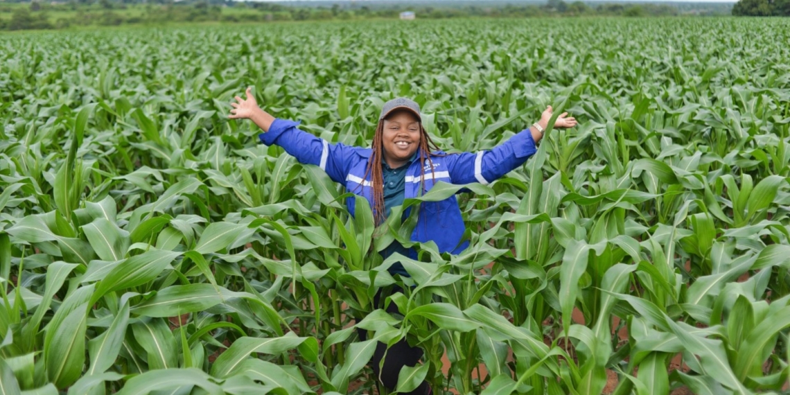 As weather patterns become more unpredictable, South African grain farmers need technologies that improve resilience, productivity and sustainability. Photo: Corteva Agriscience