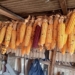 How seed banks and libraries protect Mzansi’s future