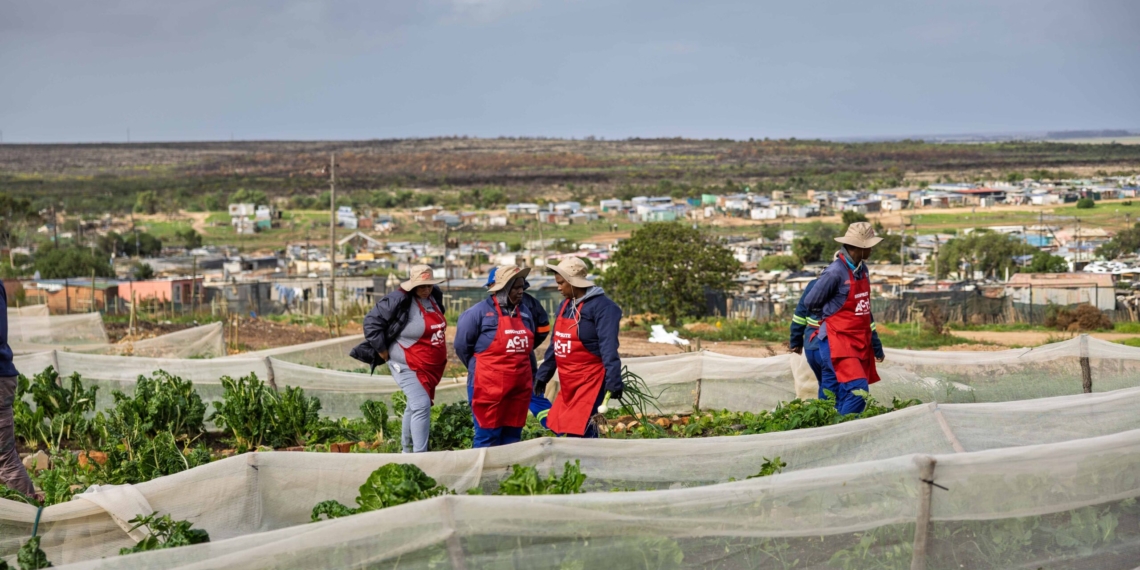 The Zero Organic Waste to Landfill Project outside Bredasdorp in the Western Cape has been recognised as the 300th garden in Shoprite’s nationwide community food garden programme. Photo: Supplied/Food For Mzansi