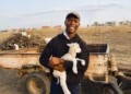 Fort Cox student Uzusakhe Mbebe on his family's communal farm near Komani, where he is applying regenerative farming principles while building a commercial livestock enterprise. Photo: Supplied/Food For Mzansi