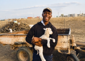 Fort Cox student Uzusakhe Mbebe on his family's communal farm near Komani, where he is applying regenerative farming principles while building a commercial livestock enterprise. Photo: Supplied/Food For Mzansi