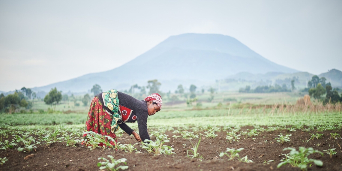 A potential super El Niño could put millions at risk of drought and food insecurity across southern Africa. Yet researchers say Africa is more than a climate victim – it is a source of practical solutions. Photo: Stephanie Bujiriri/Pexels