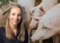 ASF outbreak contained, but pig farmers urged to stay vigilant