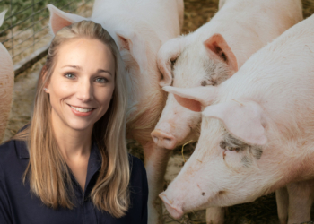 ASF outbreak contained, but pig farmers urged to stay vigilant