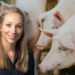 ASF outbreak contained, but pig farmers urged to stay vigilant
