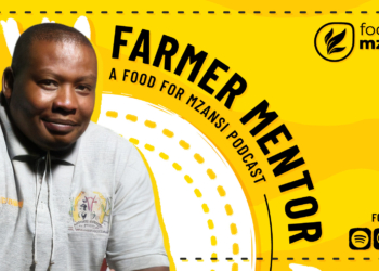 Professionalism pays: How Jantjies built a thriving lucerne business