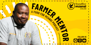 Tshepiso Jantjies, founder of Jantjies Boerdery in North West, has grown a 10-hectare communal farming operation into a thriving lucerne and agro-processing business. Photo: Gareth Davies/Food For Mzansi
