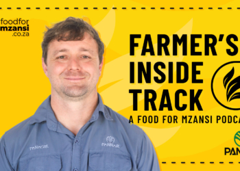 Pannar Seed: How to build climate resilience through moisture management