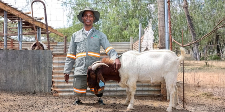 Double-amputee farmer Realeboga Marlon Mangwegape is building a thriving livestock business in North West. Photo: Supplied/ Food For Mzansi