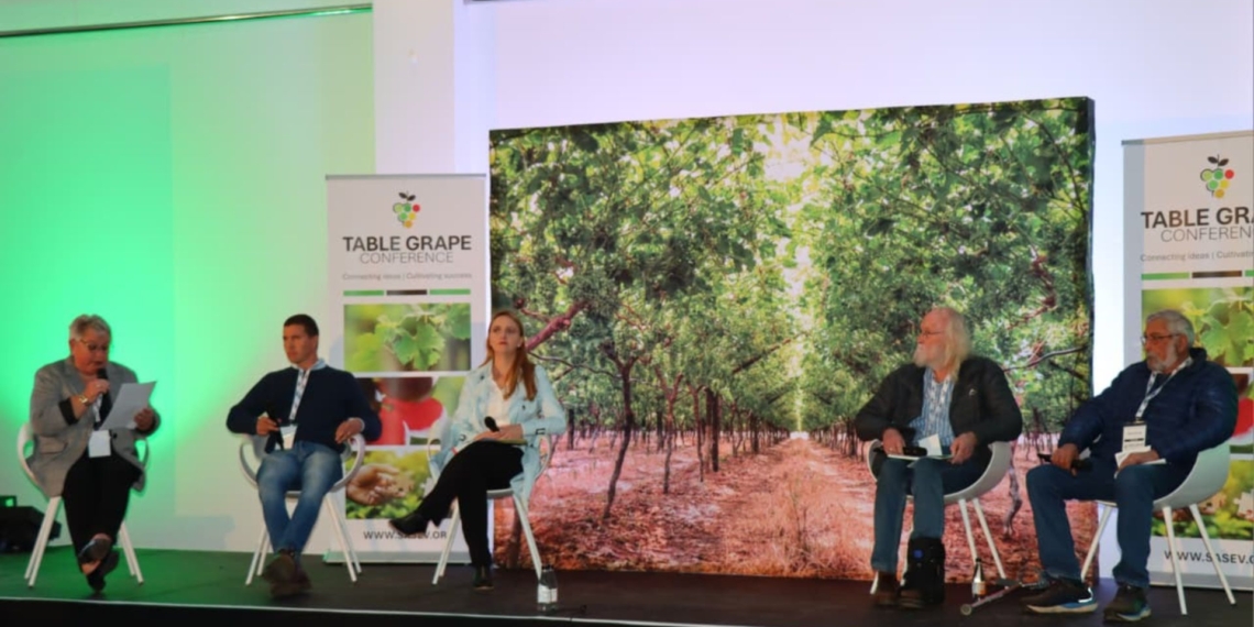 Panelists Danie Kritzinger, Gabrielle Redelinghuys, Andre Roux and Philip Myburgh unpack practical solutions for smarter water management and producing high-quality table grapes at the Table Grape Conference. Photo Marike Brits