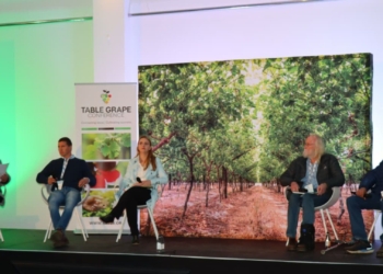 Table grape industry faces ‘new normal’ in climate crisis