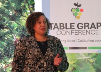 Innovation key to keeping SA table grapes globally competitive