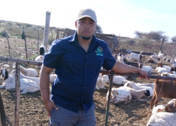 Jonay Khoaene’s shift to sheep pays off in Postmasburg