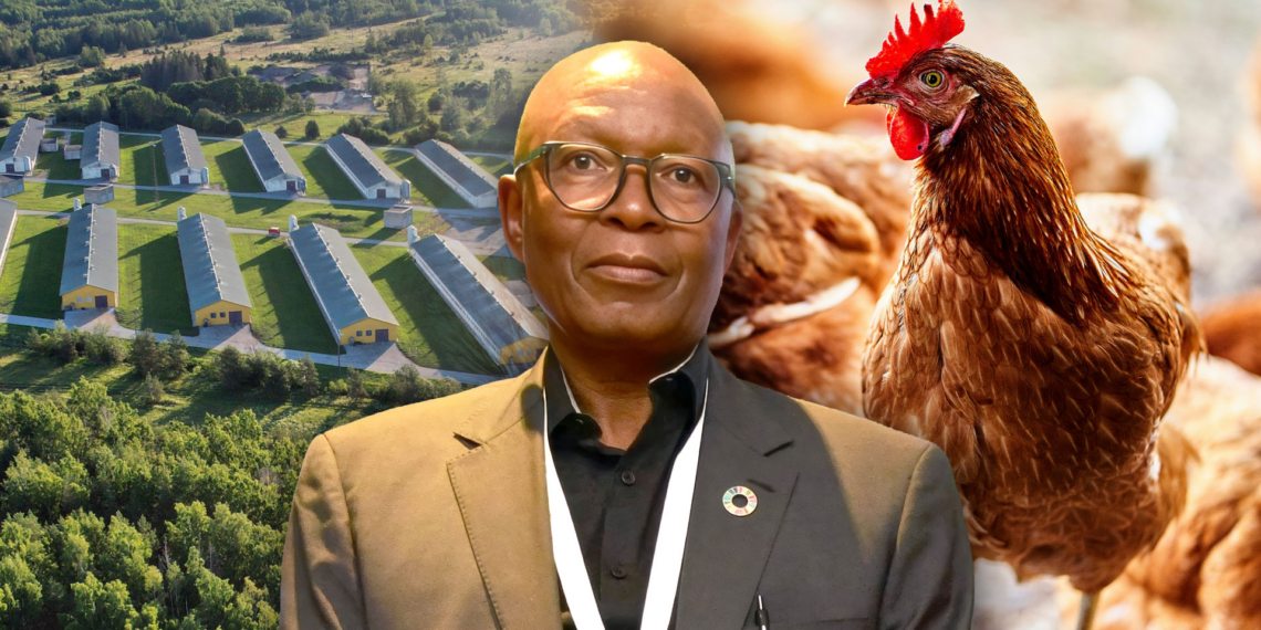Southern African Ishmael Sunga, the CEO of the Southern African Confederation of Agricultural Unions (Sacau), calls on southern Africa to ask major poultry suppliers what incentives would make smallholder inclusion commercially rational and sustainable. Photo: Gareth Davies/Food For Mzansi
