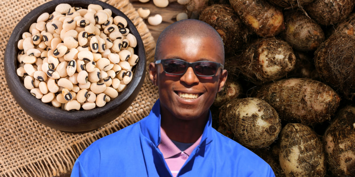 Dr Matelele Lehlogonolo says indigenous crops like cowpea, cassava, amadumbe, and mungbean require fewer inputs while offering powerful climate resilience and nutrition. Photo: Gareth Davies/Food For Mzansi