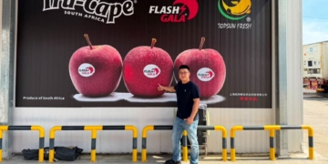 Topsun Fresh drives SA apple brand loyalty in China