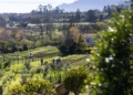 Jamestown small-scale farmers battle luxury estate over water