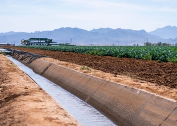 Practical water-saving strategies every SA farmer can use now